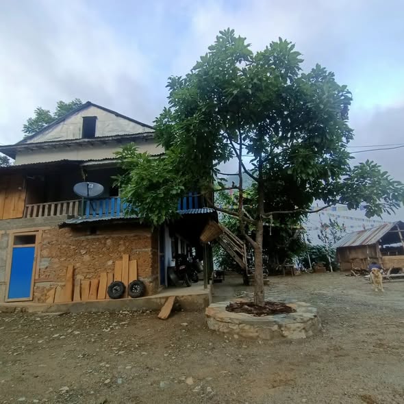 lukeko gaun

