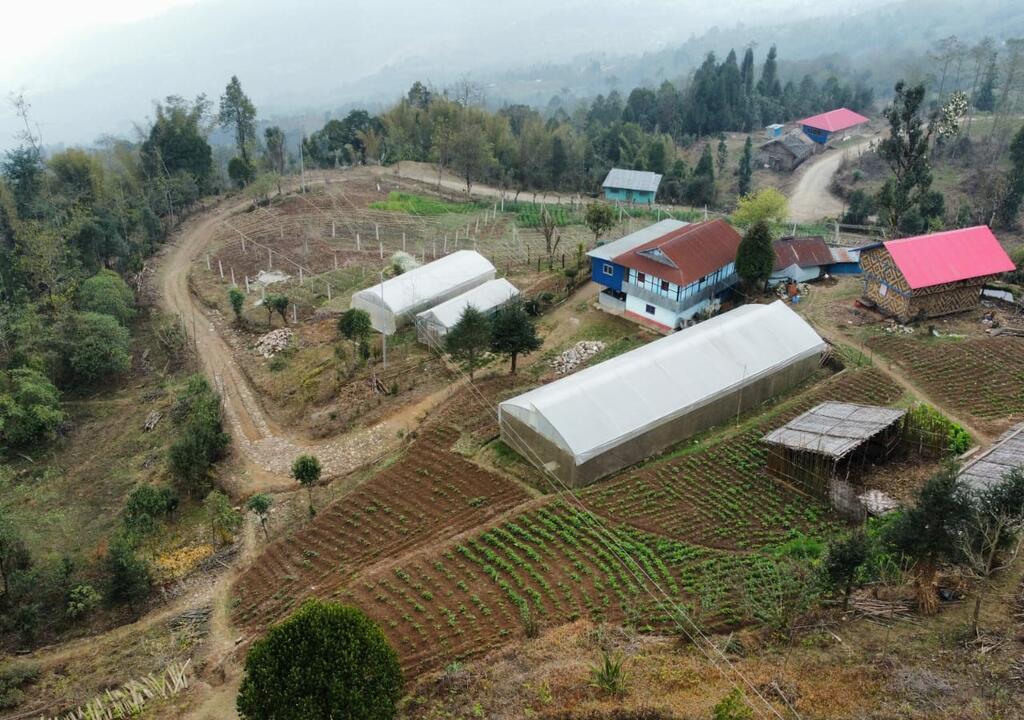 organic farm