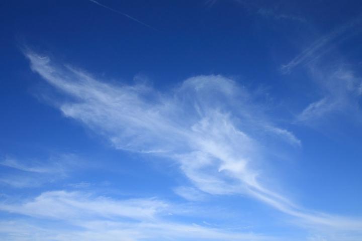 Cirrus cloud